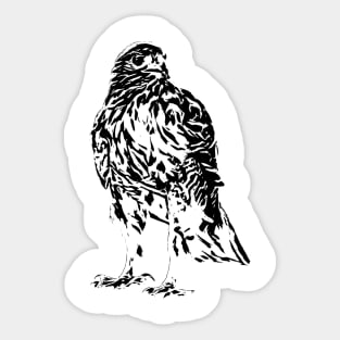 Hawk Sticker